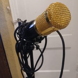 Microphone