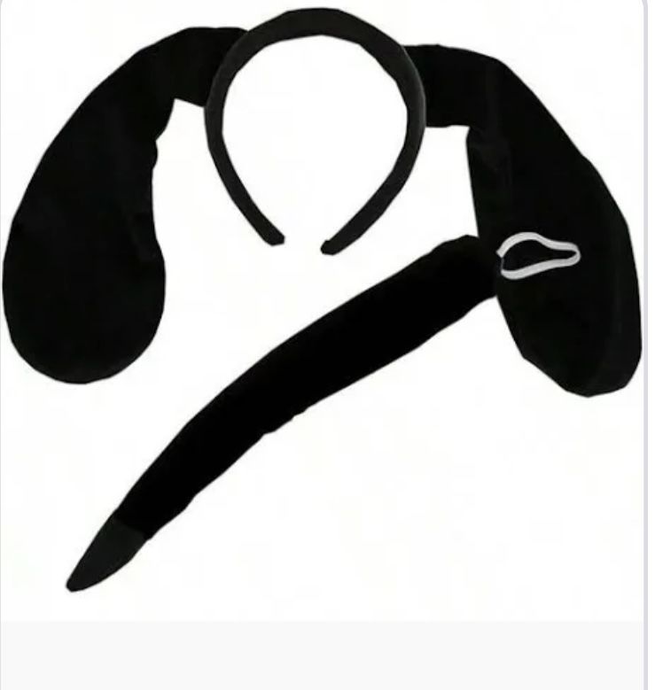 Halloween Costume