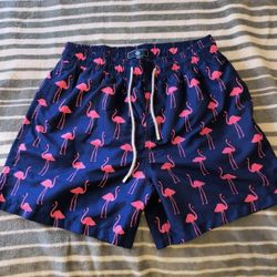 Swimming Shorts 