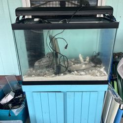 Fish Tank And Supplies