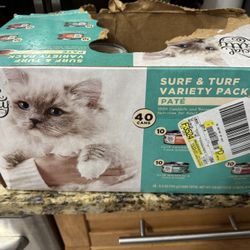 Kitten Food 