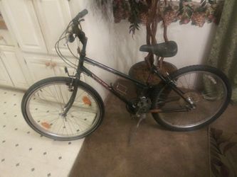 26 in Bike