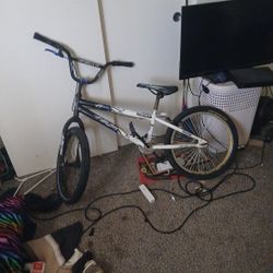 Is a a Insignia 32'led TV with A Roku Player And LG Blue Ray Disc Player power source chords and hdmicord Are Included and a f s twenty ambush Bike 