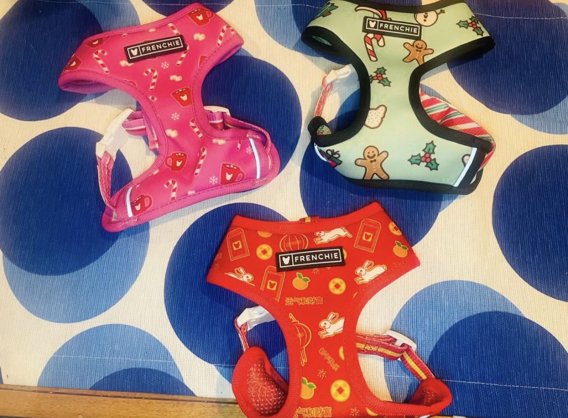 New Frenchie Xs Dog Harness