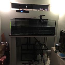 100 Gallon Reef Tank