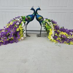 Peacocks For SALE