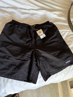 Patagonia Shorts (Men)