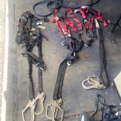 Saftey Harness 