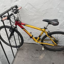 Mountain/Road Bike