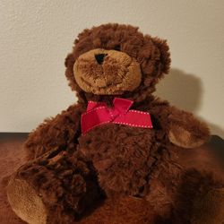 NWOT Sweet Brown Teddy Bear