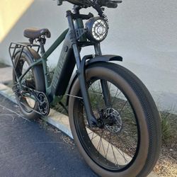 HEYBIKE Brawn Electric Bicycle