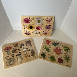 Three NEW Quokka wooden educational puzzles 