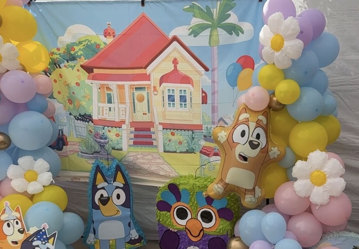 Bluey House Backdrop