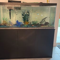 Fish Tank 75 Gallons With The Stand 