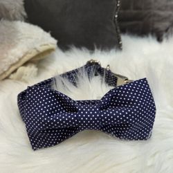 LIONET PAWS BOY DOG COLLAR WITH  BOWTIE $5 SIZE MEDIUM 