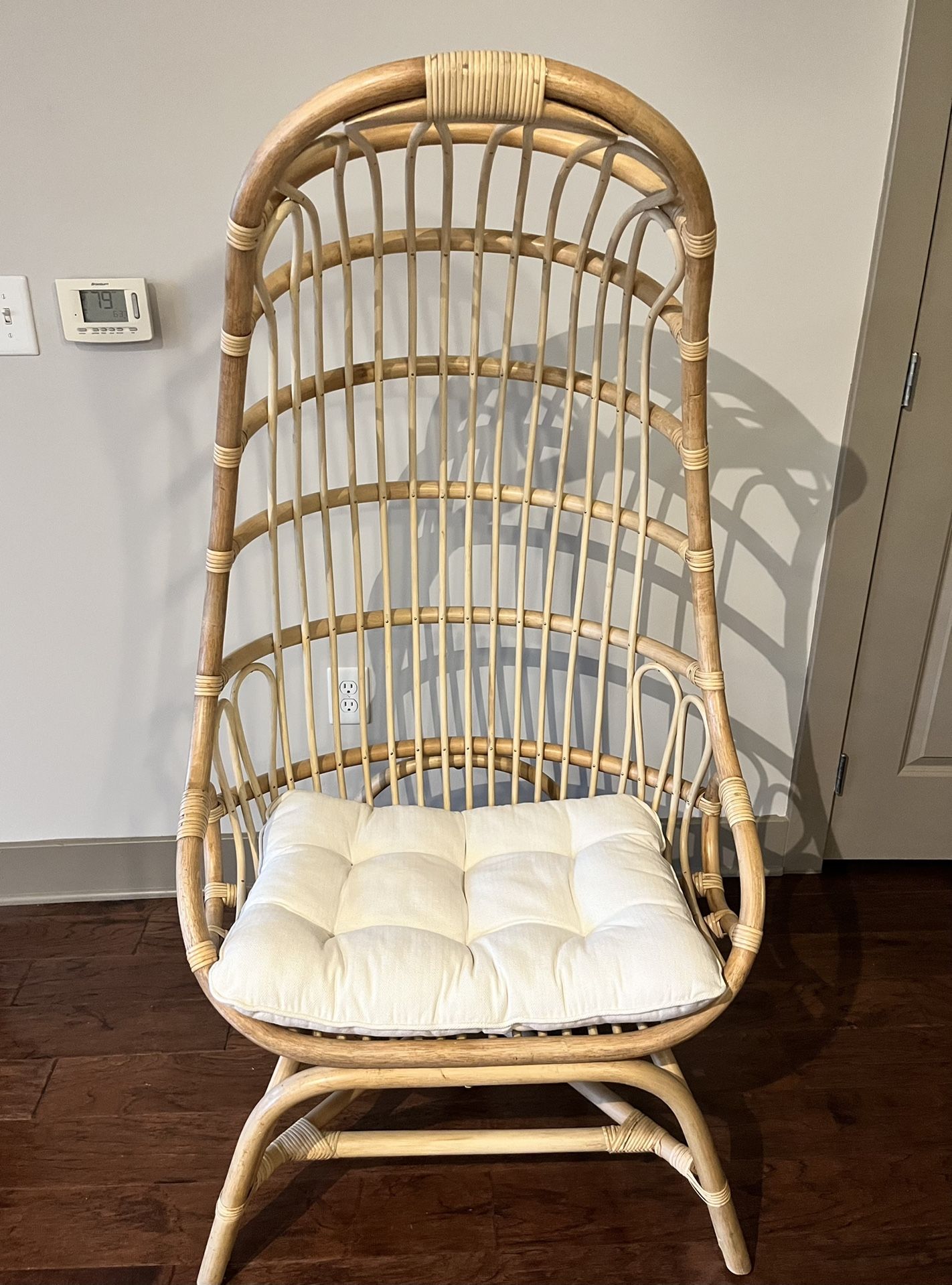 Cocoon Chair with Cushion