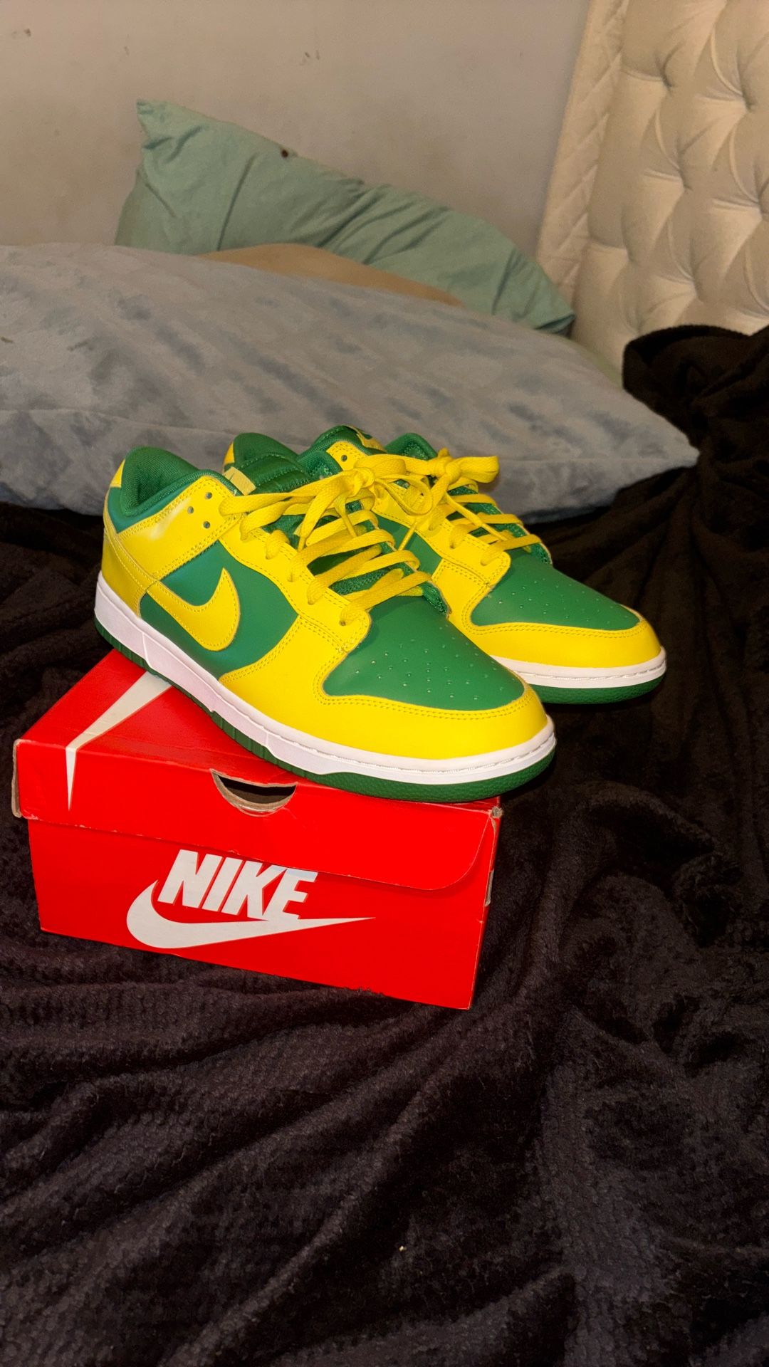 Reverse Brazil Nike Dunks