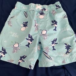 Swim shorts for Toddler Boys