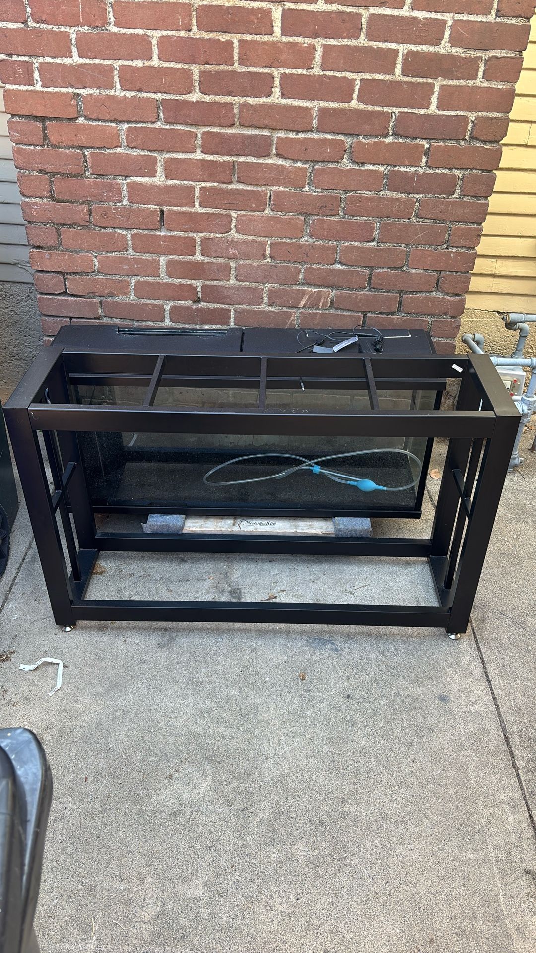 55 Gallon Fish Tank