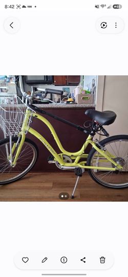 Townie Elektra Bicycle (Not Electric)
