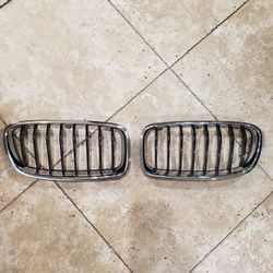Bmw Oem Grill 