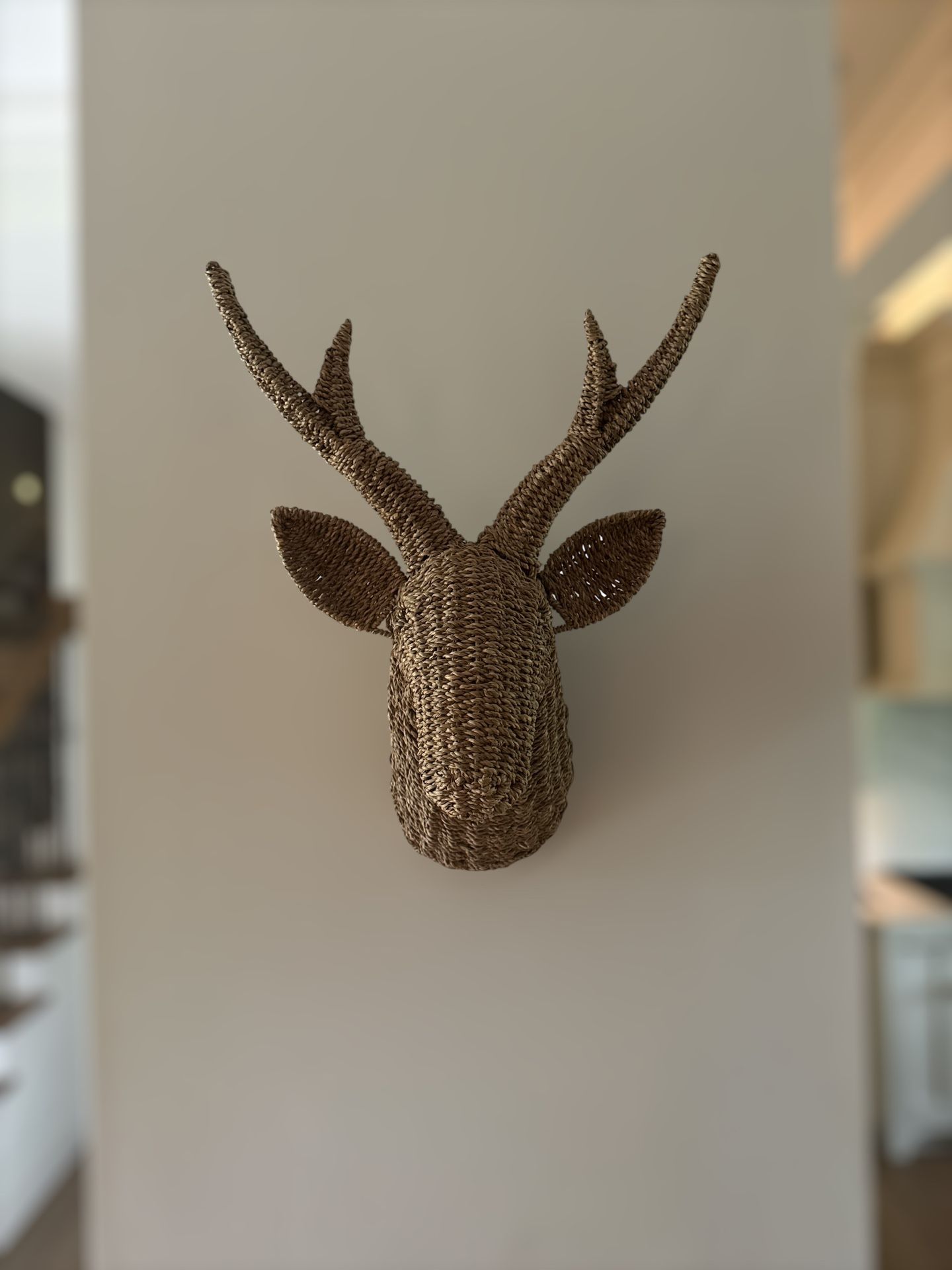 Wicker Deer Head