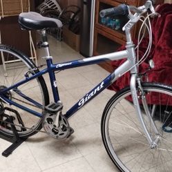 Super Nice 700c Giant Hybrid Bike Medium Size Frame Seat Shox Ready To Ride Need Nothing 