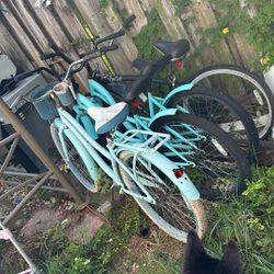 Beach cruisers  And Mountain bikes