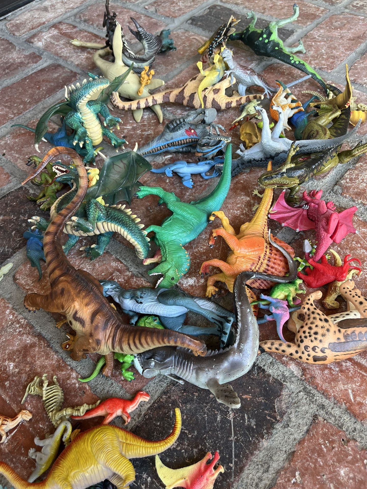 Dinosaur Collection