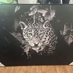 31”x41” Jaguar Canvas