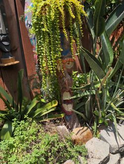 Hand Made Tiki And Comes With Plant