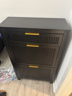 Shoe Storage Cabinet
