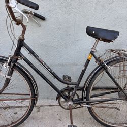 Bicycle Schwinn - vintage