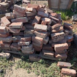 Bricks