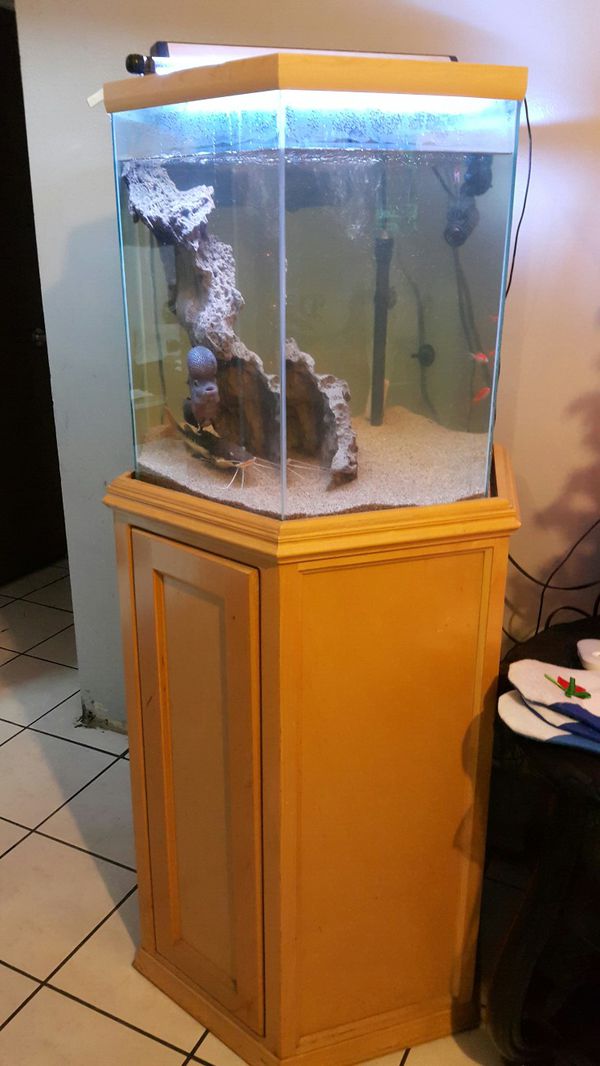 40 GAL OCTAGON FISH TANK for Sale in Alhambra, CA OfferUp