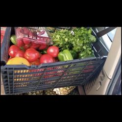 Fresh Product 