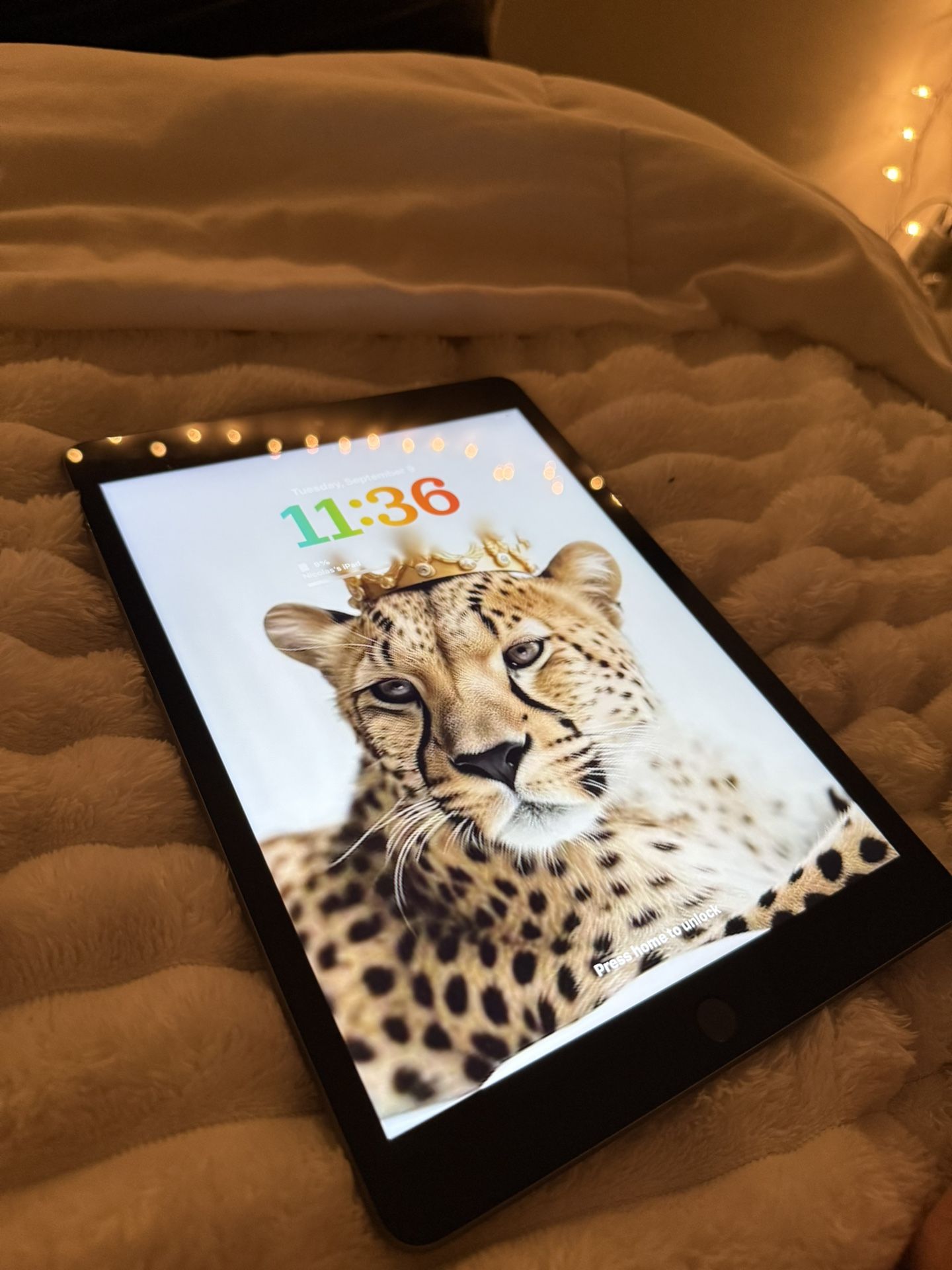 IPad 9th Gen