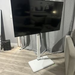 TV + stand