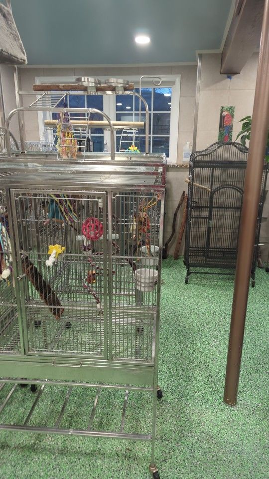 Bird Boarding Facility