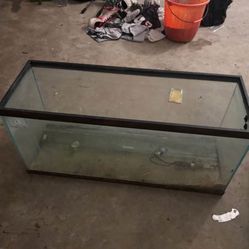 Fish Tank Come With stuff