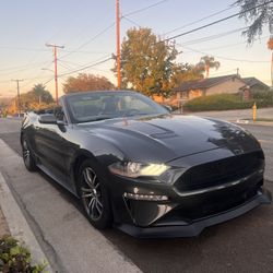 2019 Ford Mustang