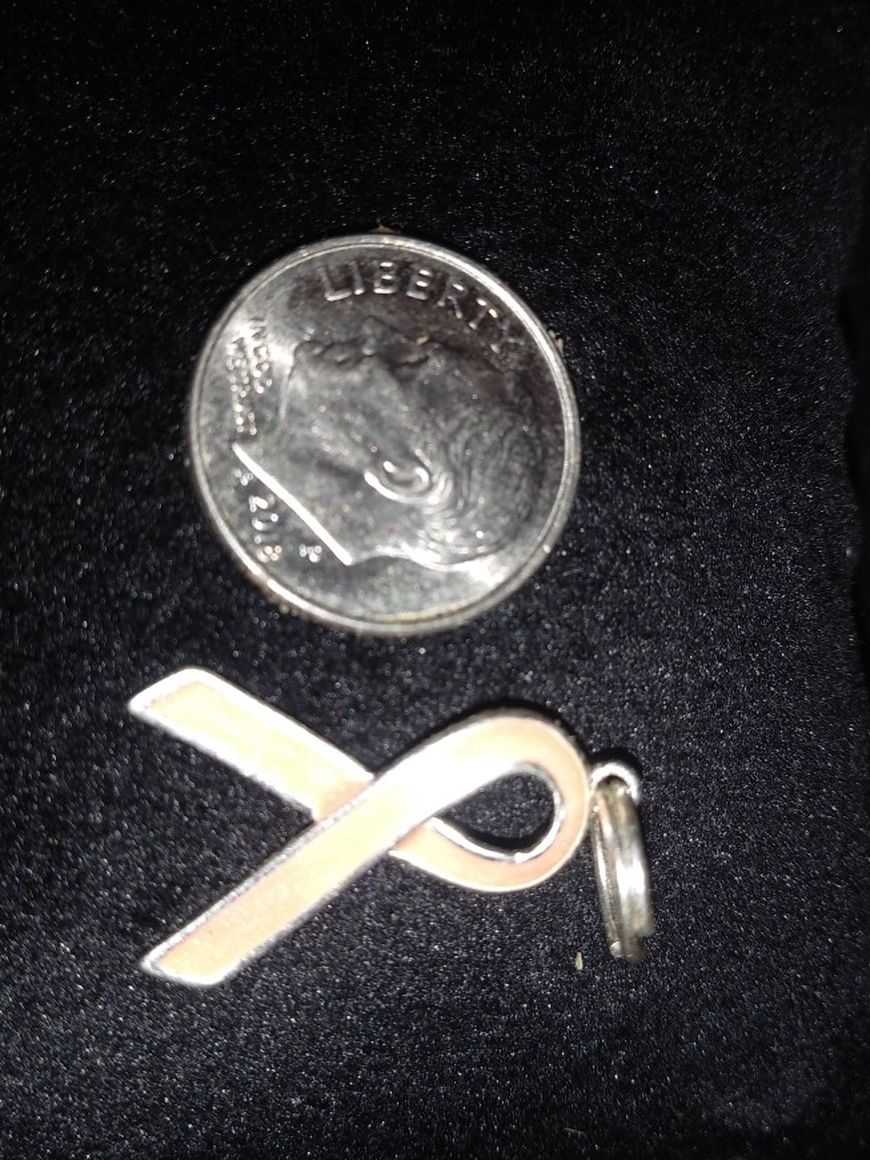 Silver Charm/pendent