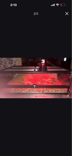 Reptile Tank Enclosure with Heat Lamp