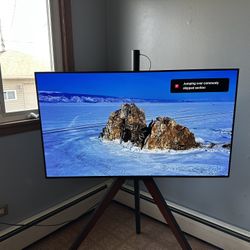 48” Oled Lg Tv 