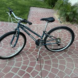 Raleigh Young adult bicycle