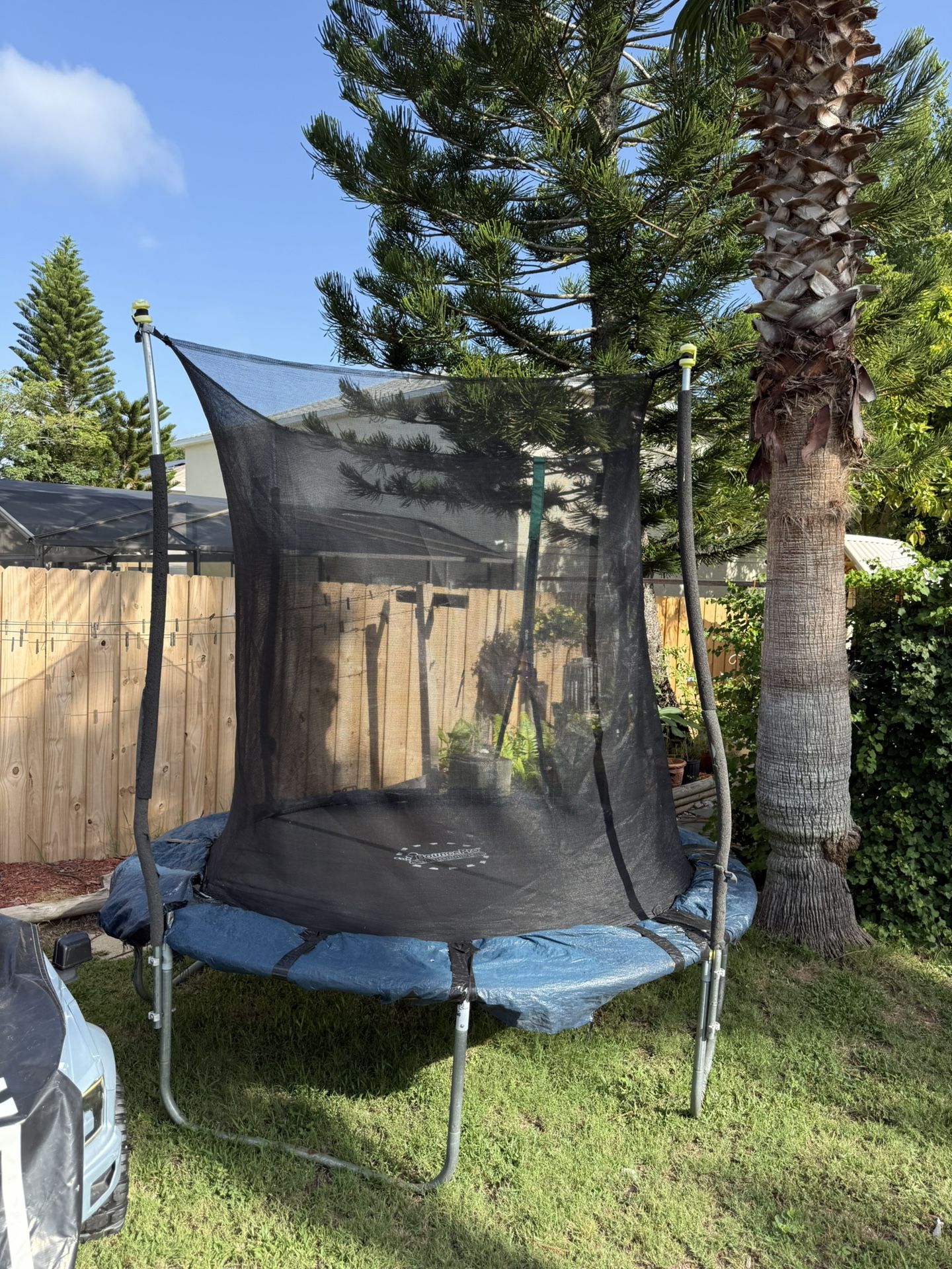 Trampoline