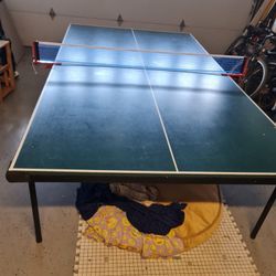 Ping Pong Table 
