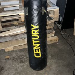 Punching Bag 