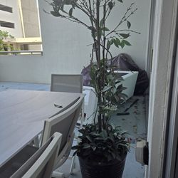 Fake Plant Tree In A Black Pot Decor