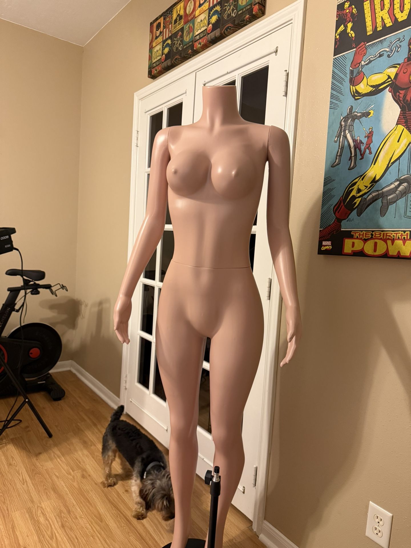 mannequin 